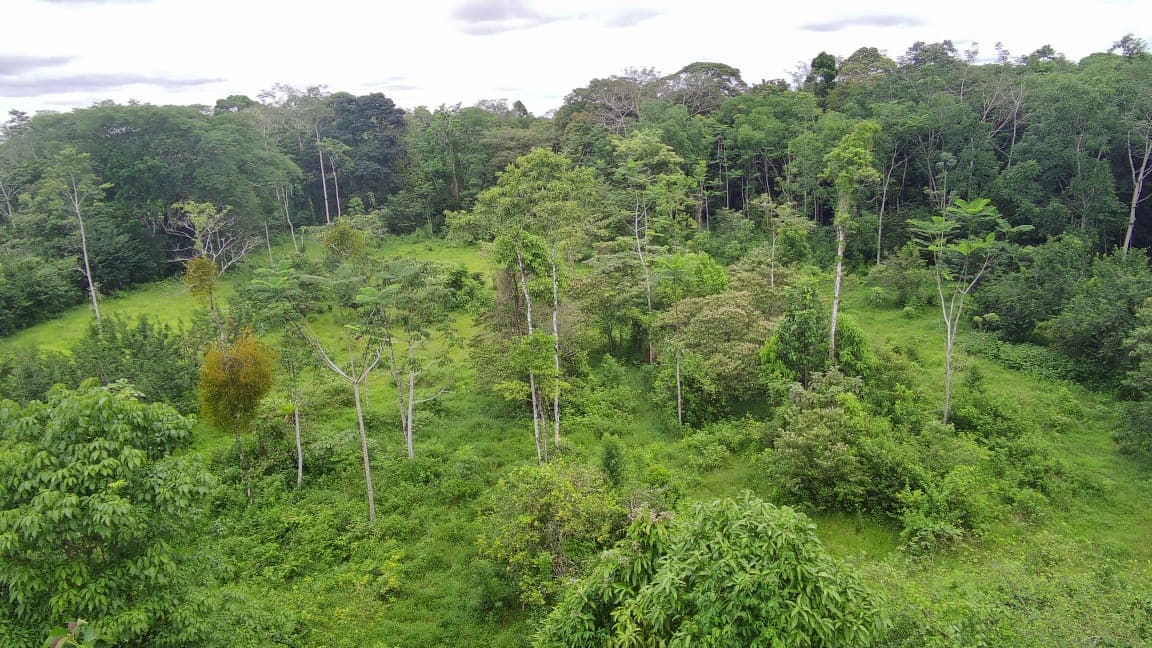 7.1-Hectare Lot w/ Private Well & Development Potential in Upala - 2