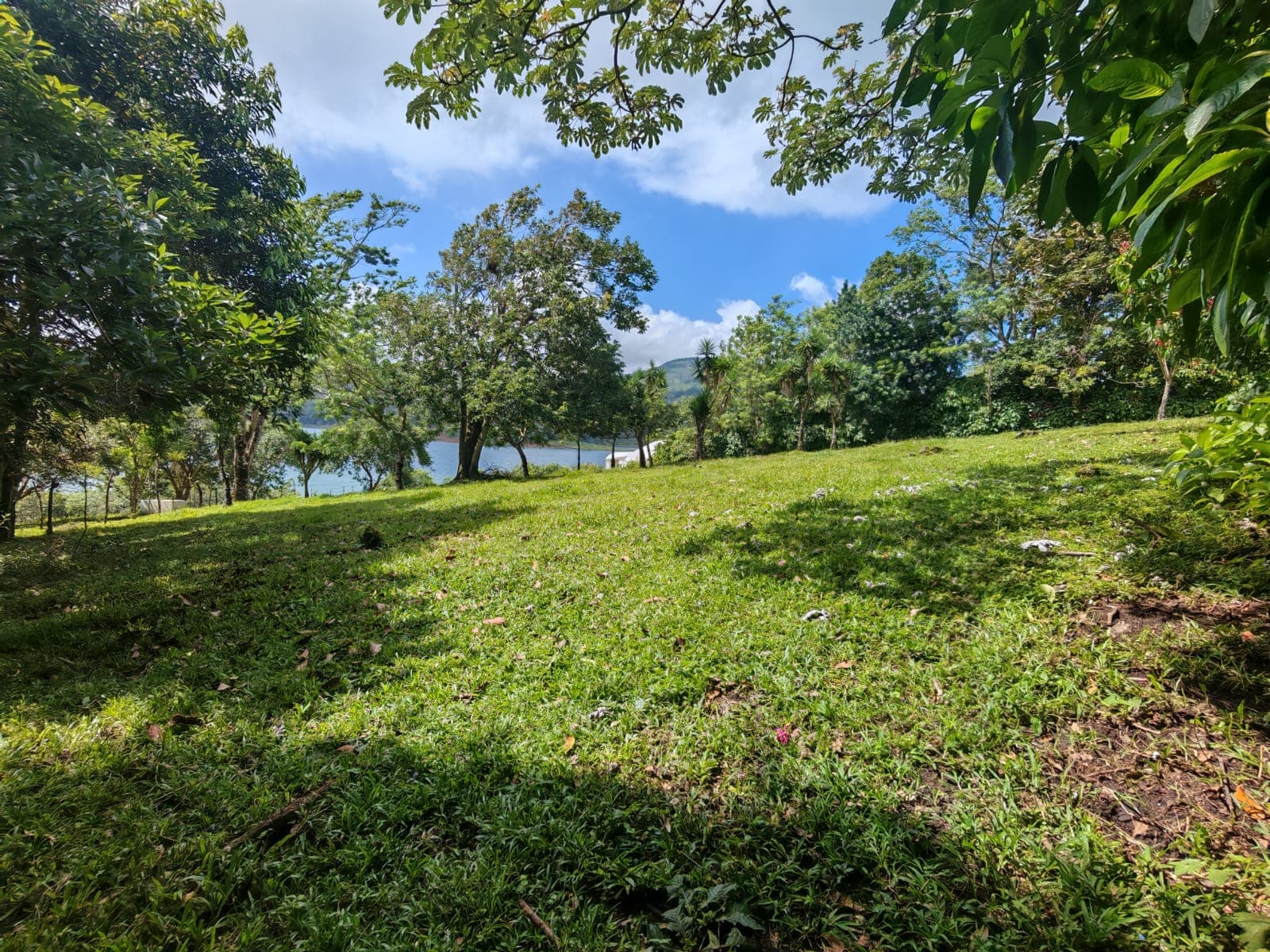 15,750 m² Lakefront Lot with Volcano Views, Fruit Trees & Direct Lake Access  - 4