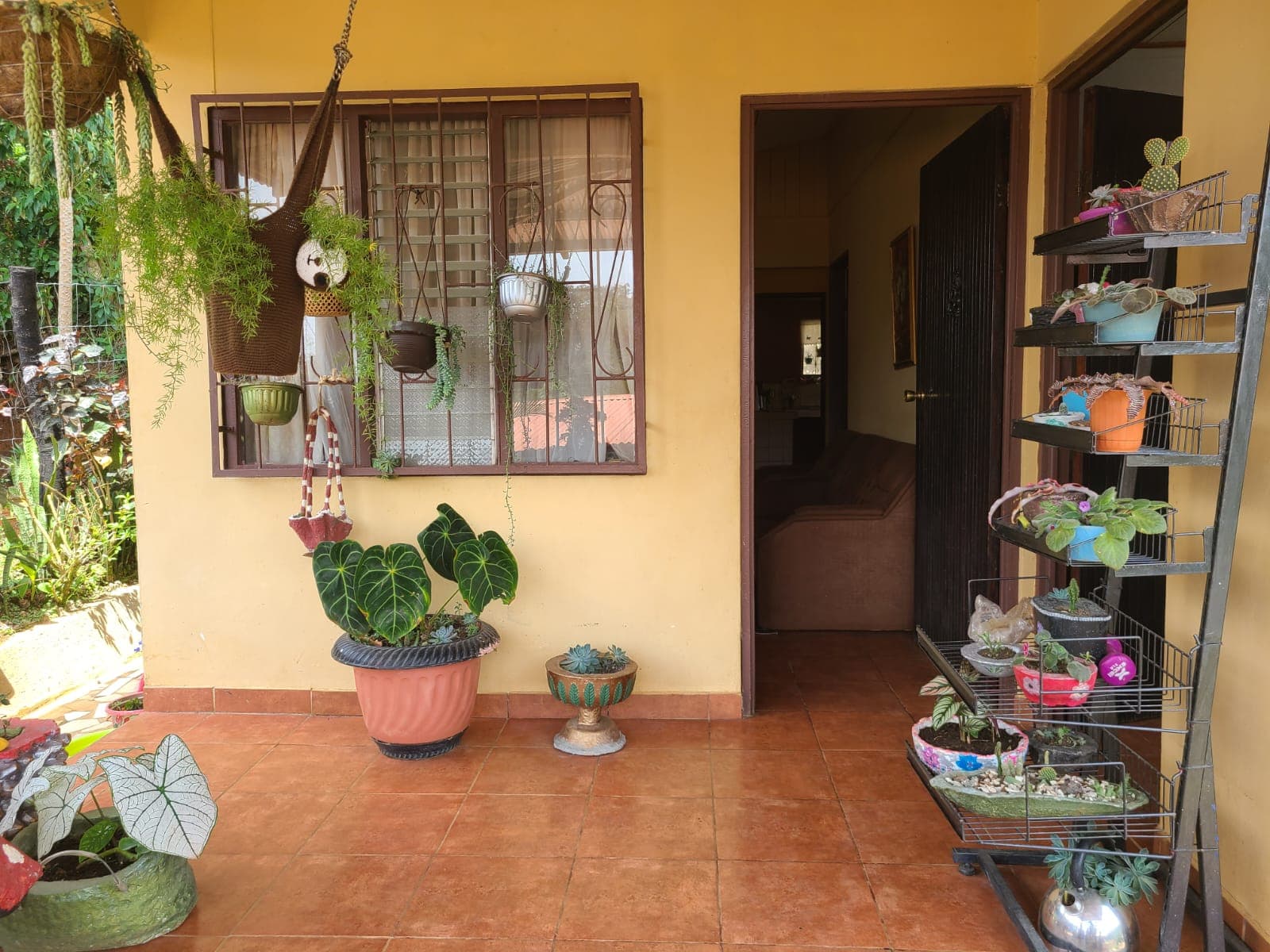 Lovely, 2 Bedroom, 1 Bathroom + Den, Tico Style Home in Rio Piedras  - 5