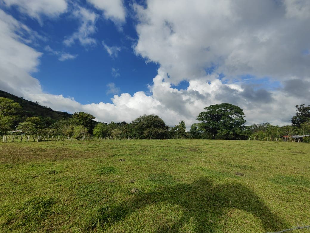 Beautiful Flat 5,624 m2 Lot With Views in Rio Naranjo, Guanacaste  - 5