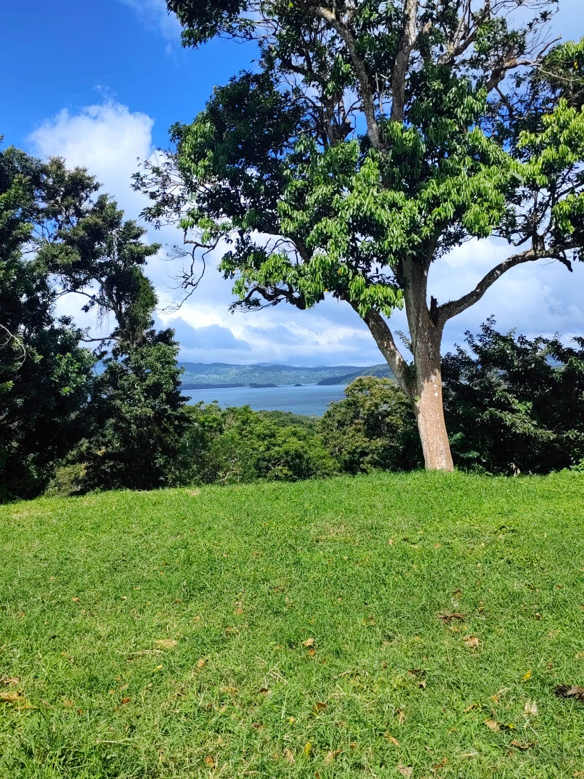 Large Lake view lot of 12,159 square meters in San Luis, Tilarán 