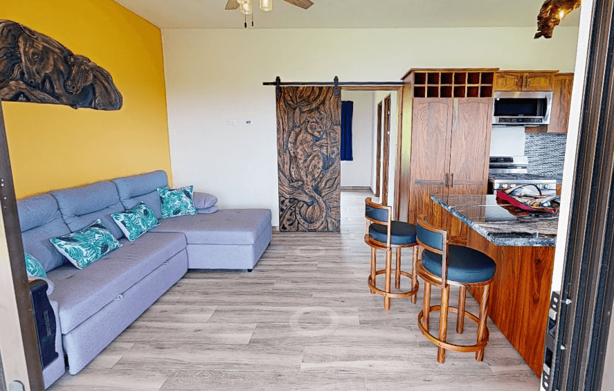 Spectacular Studio Apt + 2500 m2 Lot+ Lake Access Property in Nuevo Arenal - 4