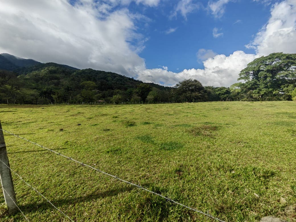 Beautiful Flat 5,624 m2 Lot With Views in Rio Naranjo, Guanacaste  - 4