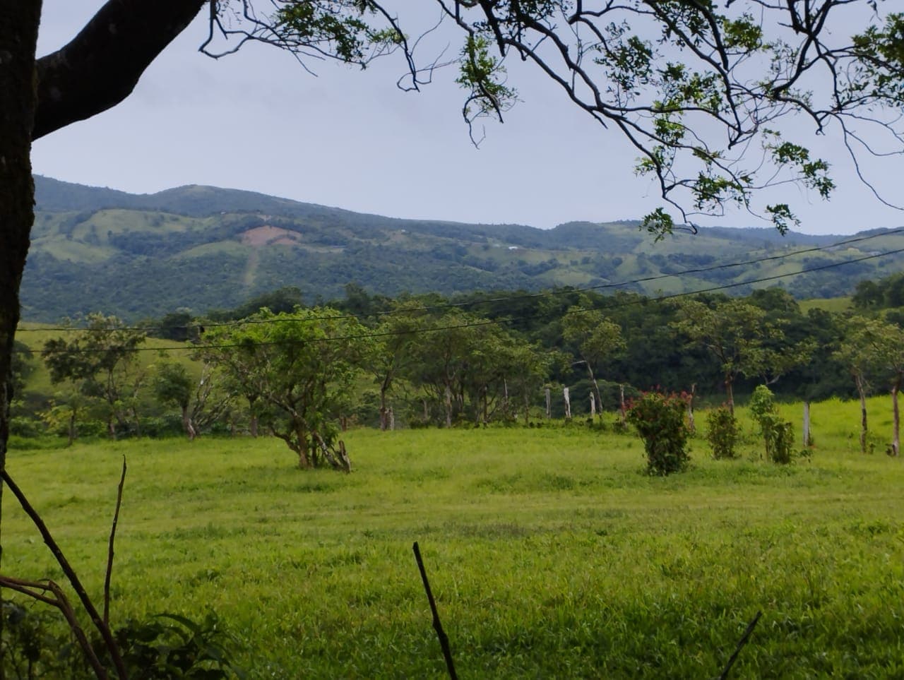 Expansive 30,229 m² (7.46 Acre) Lot w/ House & Scenic Views in Tierras Morenas - 5