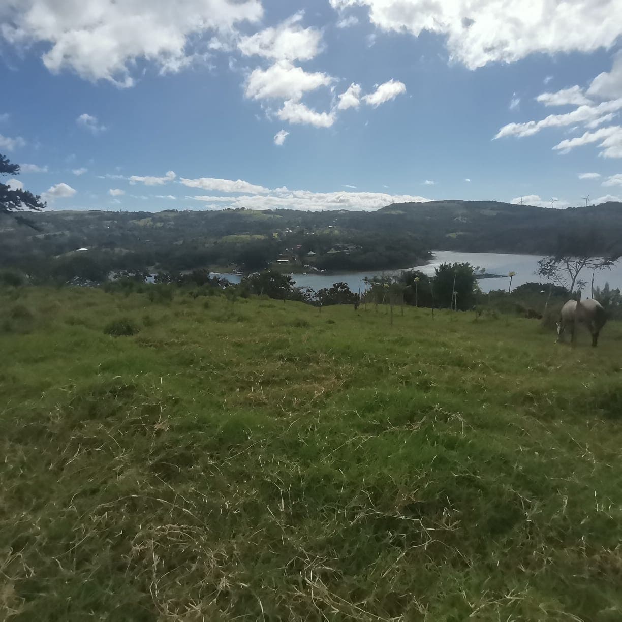 Spectacular, 5000m2, Lake View, LAKE ACCESS Lot in Tronadora!  - 2