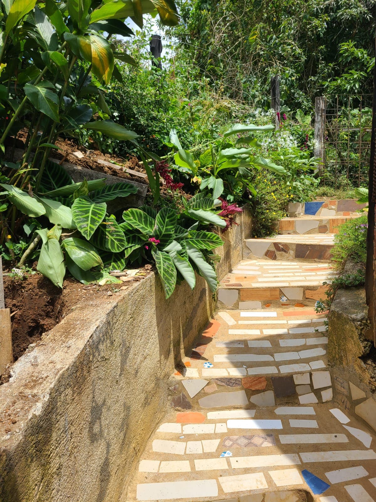 Lovely, 2 Bedroom, 1 Bathroom + Den, Tico Style Home in Rio Piedras  - 2