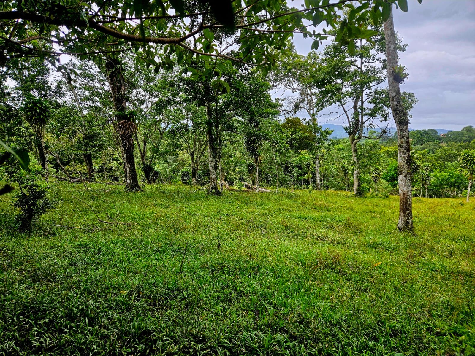 8,737 M2 (2.15 Acre) Lot with View  of Lake Arenal in Tronadora - 5