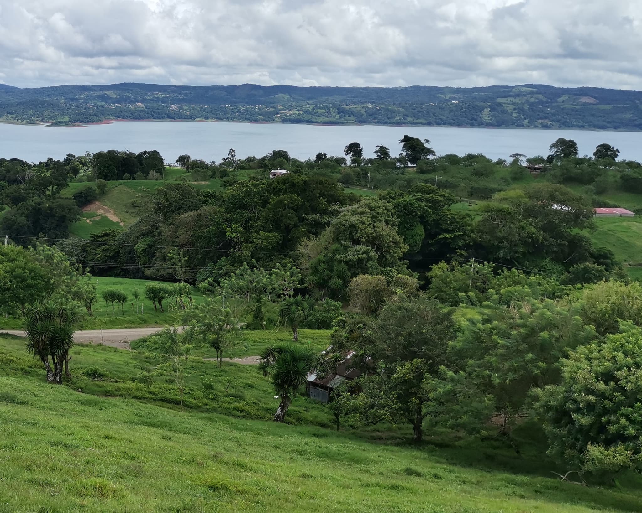 Magnificent 24,811m2 Lake and Volcano View Parcel with Huge Views in Tronadora - 4