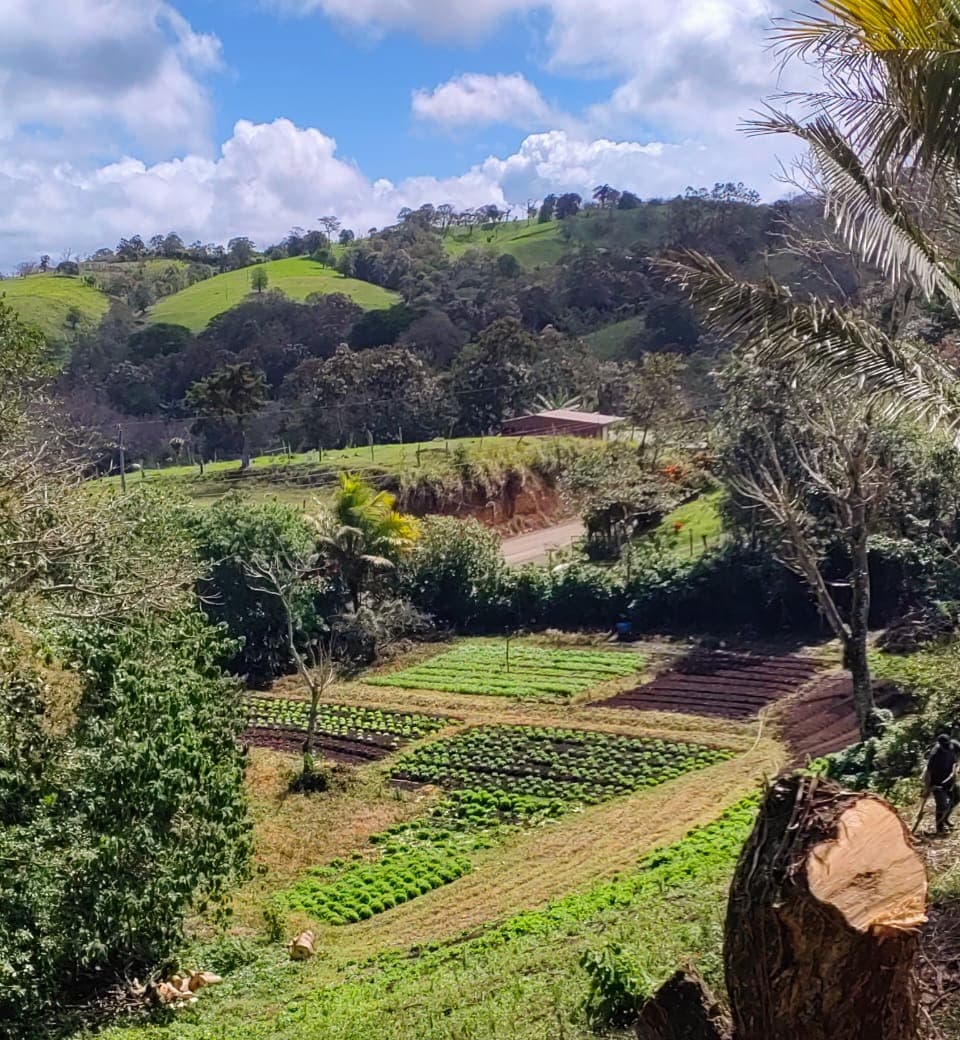 Beautiful 2932 m2 lot with Lake Arenal View in Tronadora 