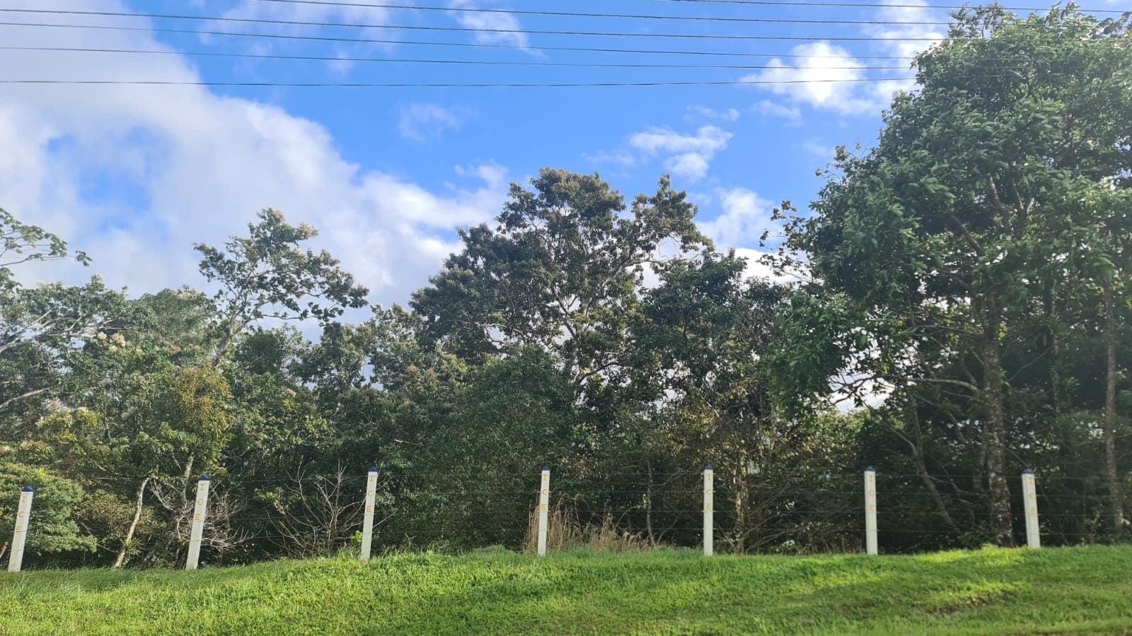 Beautiful Flat Lot of 1200 m2 Ready to Build in Nuevo Arenal - 5