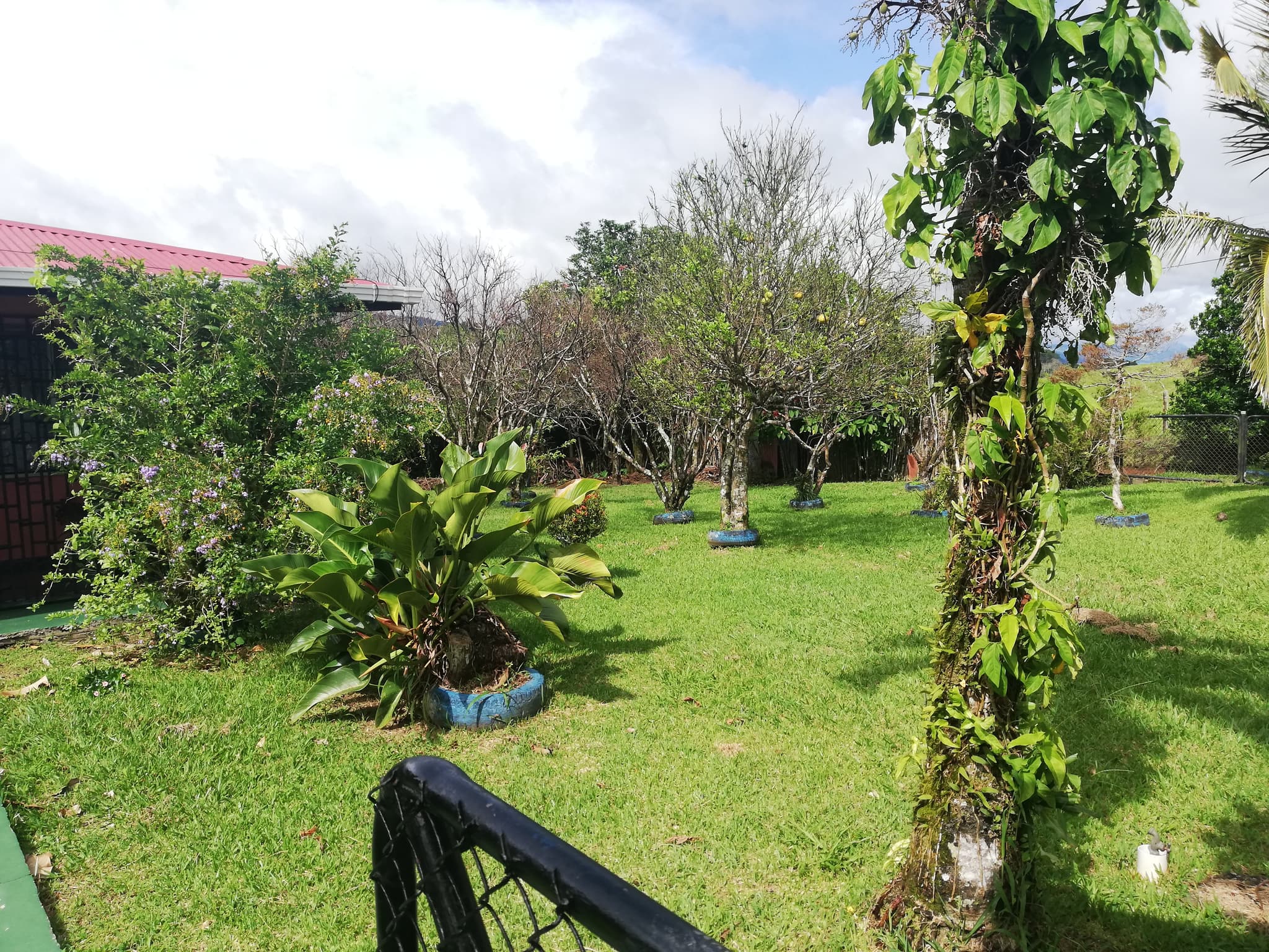 3 Bedroom 1 Bathroom Tico Home On Beautiful, Flat, 764.45m2 Lot In Sabalito  - 4