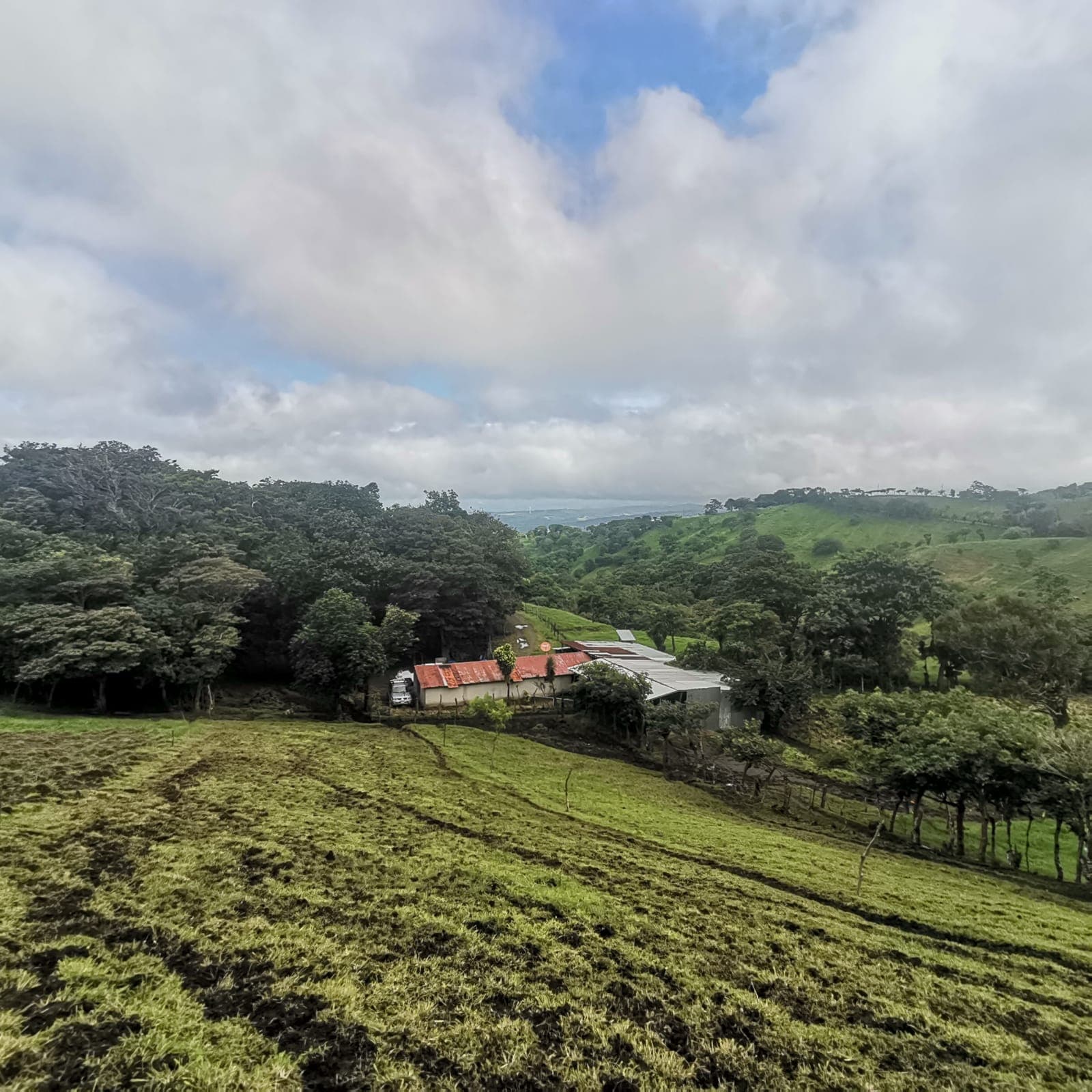 Sprawling 7 Hectare (17.3 acre) Mountain View Farm in Tilaran  - 5