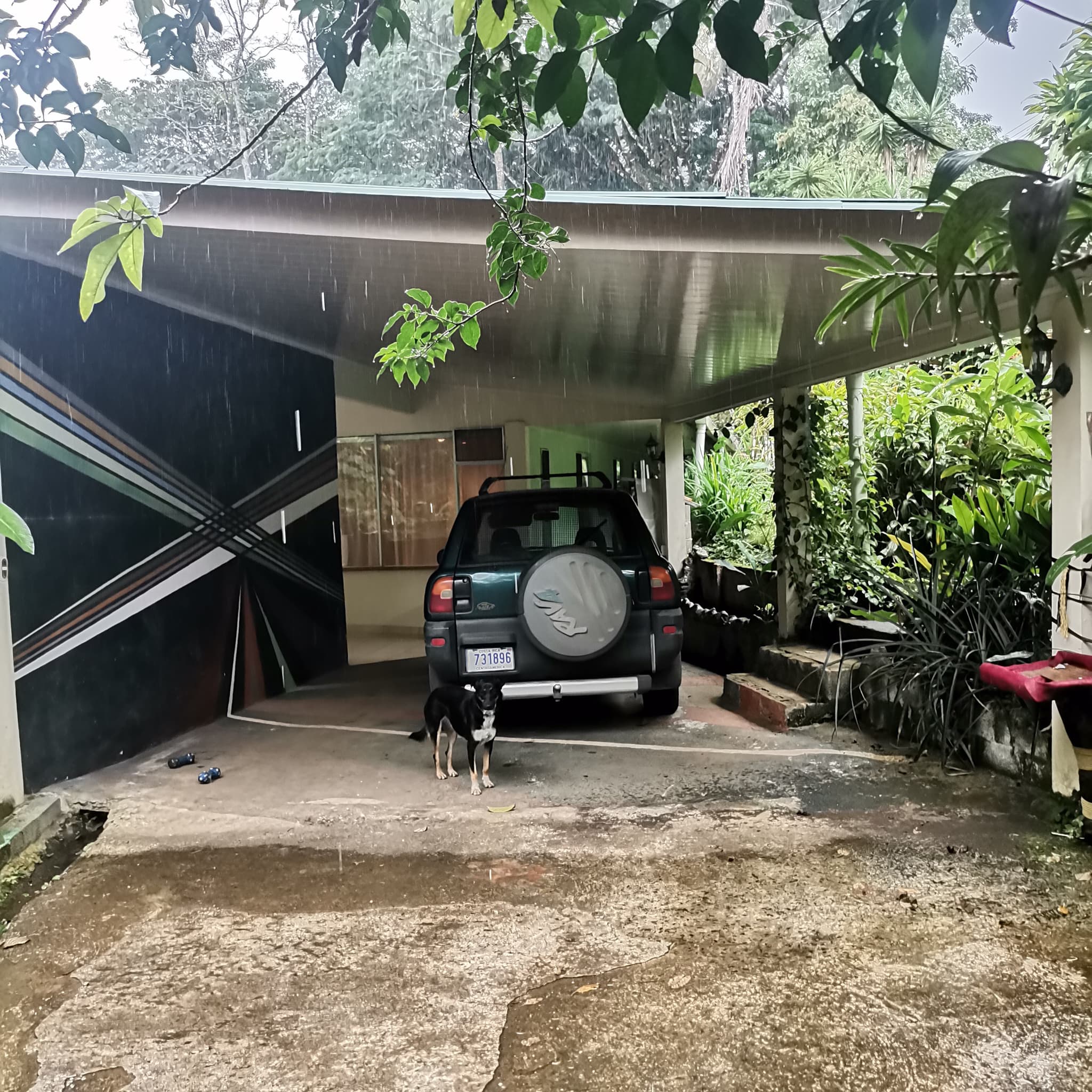 Fully Furnished, Artist Designed Home w/ Private Jungle In Nuevo Arenal - 3