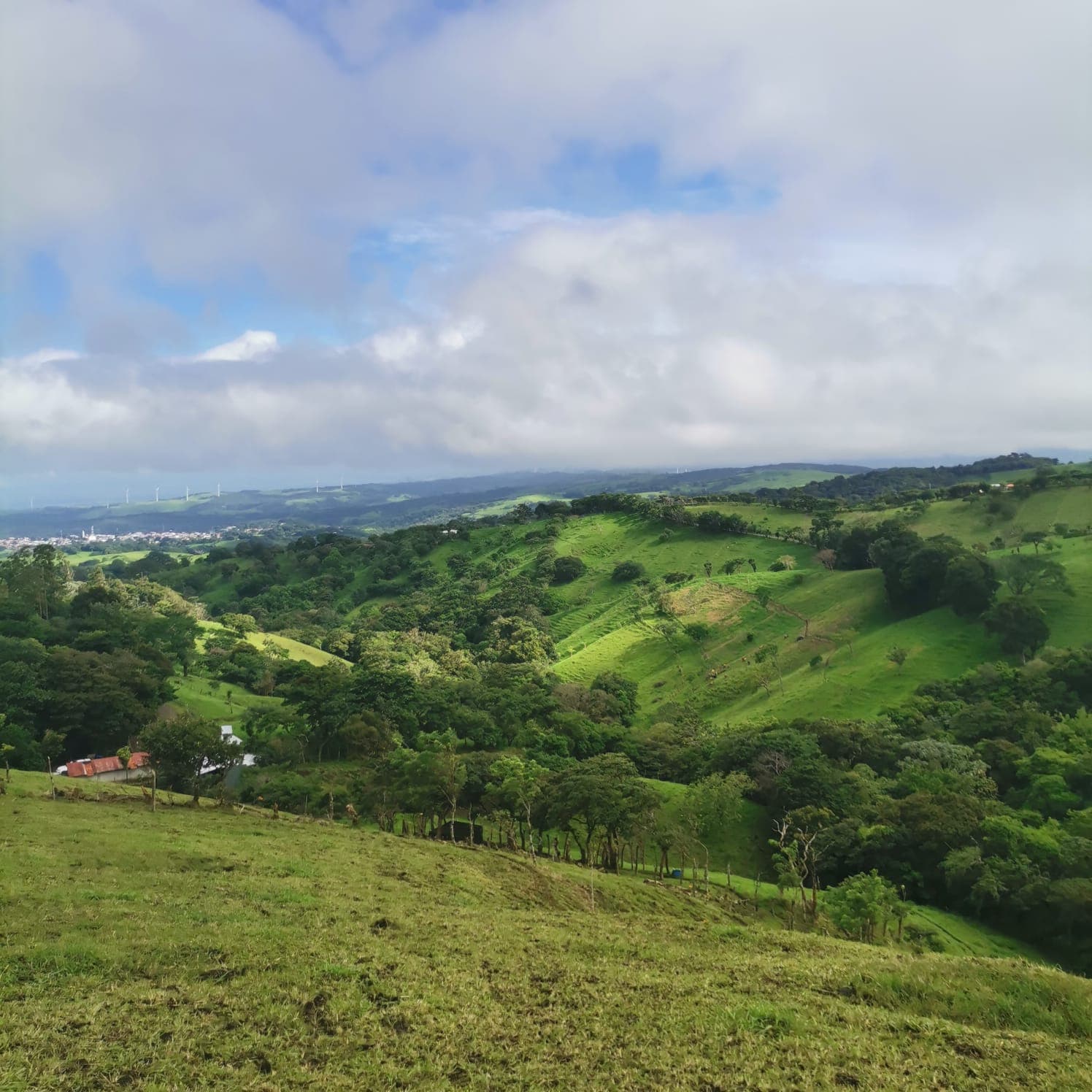 Sprawling 7 Hectare (17.3 acre) Mountain View Farm in Tilaran 