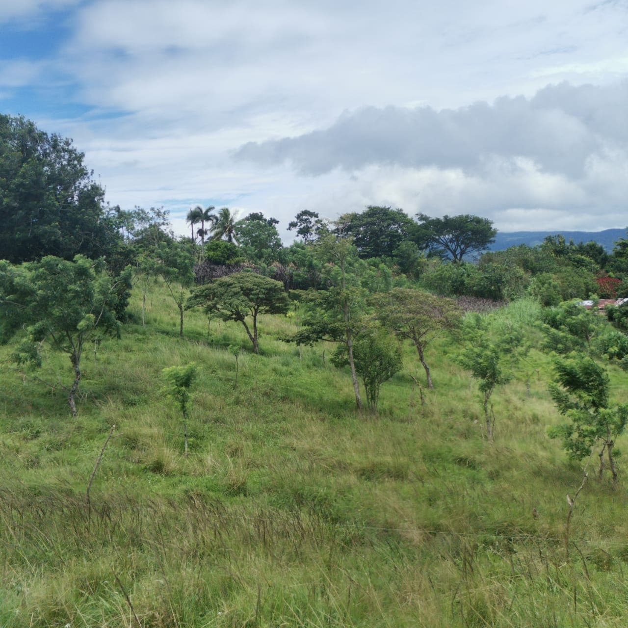 Large, Lake and Volcano View Parcel with Modest Tico Home and LAKE ACCESS  - 3