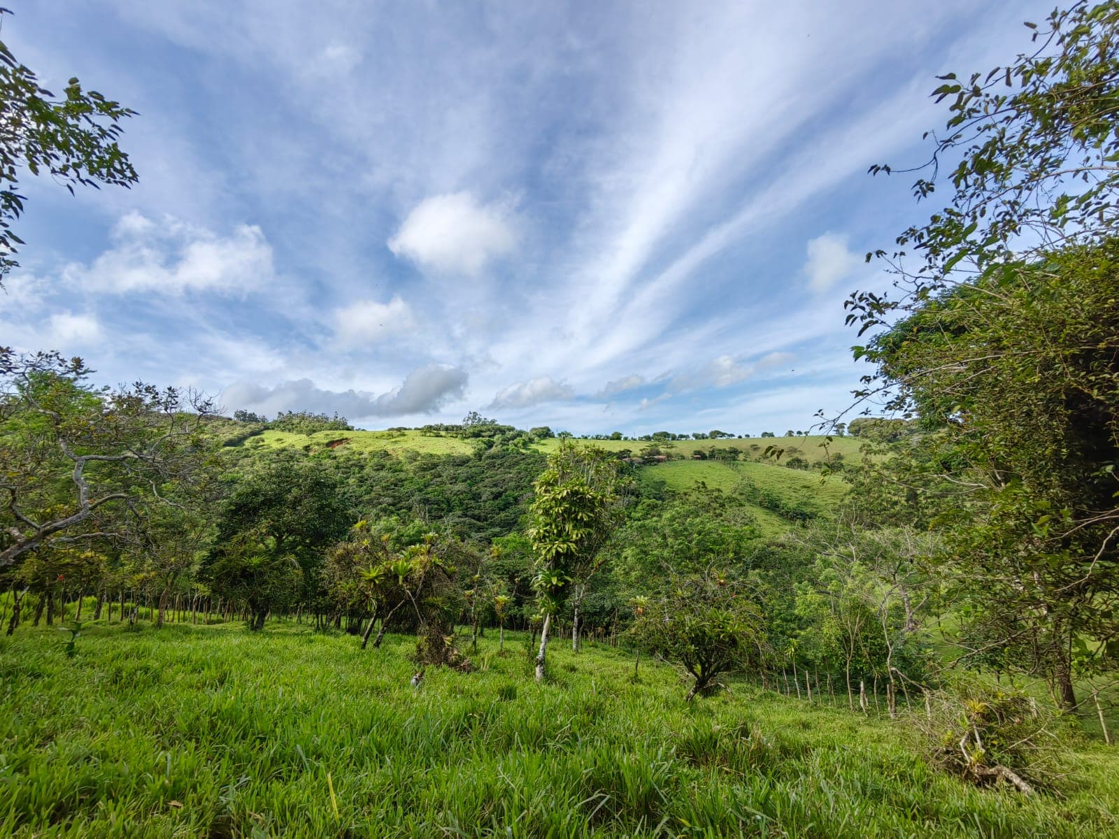 11,800m2 Producing Fruit Farm with Private Well + Modest Tico Home 