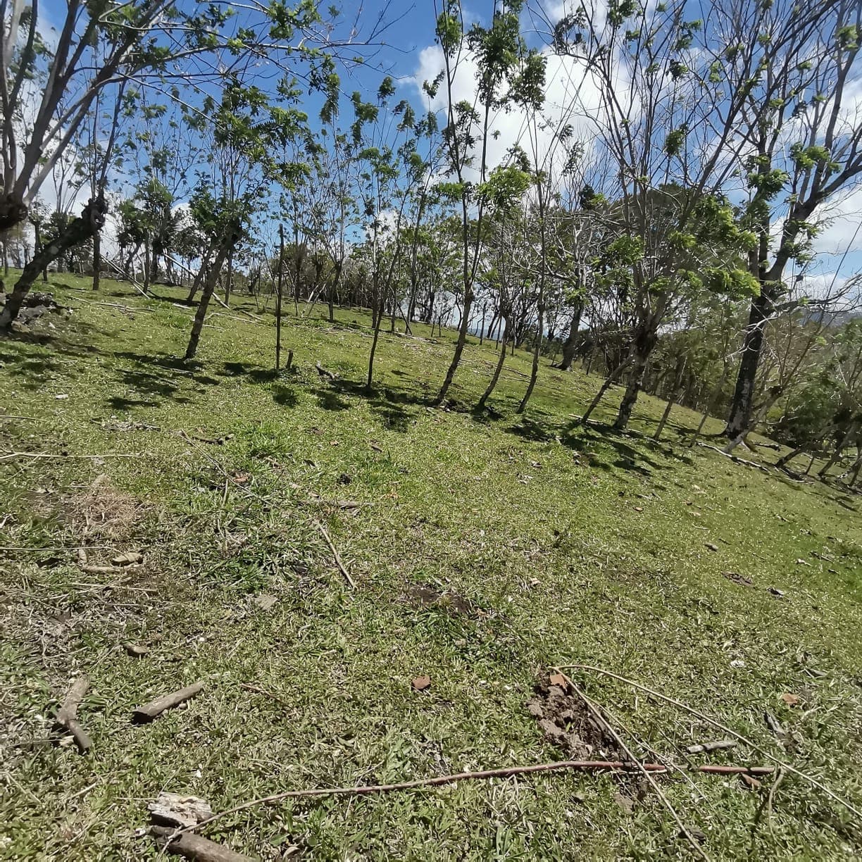 12,510 M2 (3.09 acre) LAKE VIEW Property with Volcano Views in Tronadora  - 5