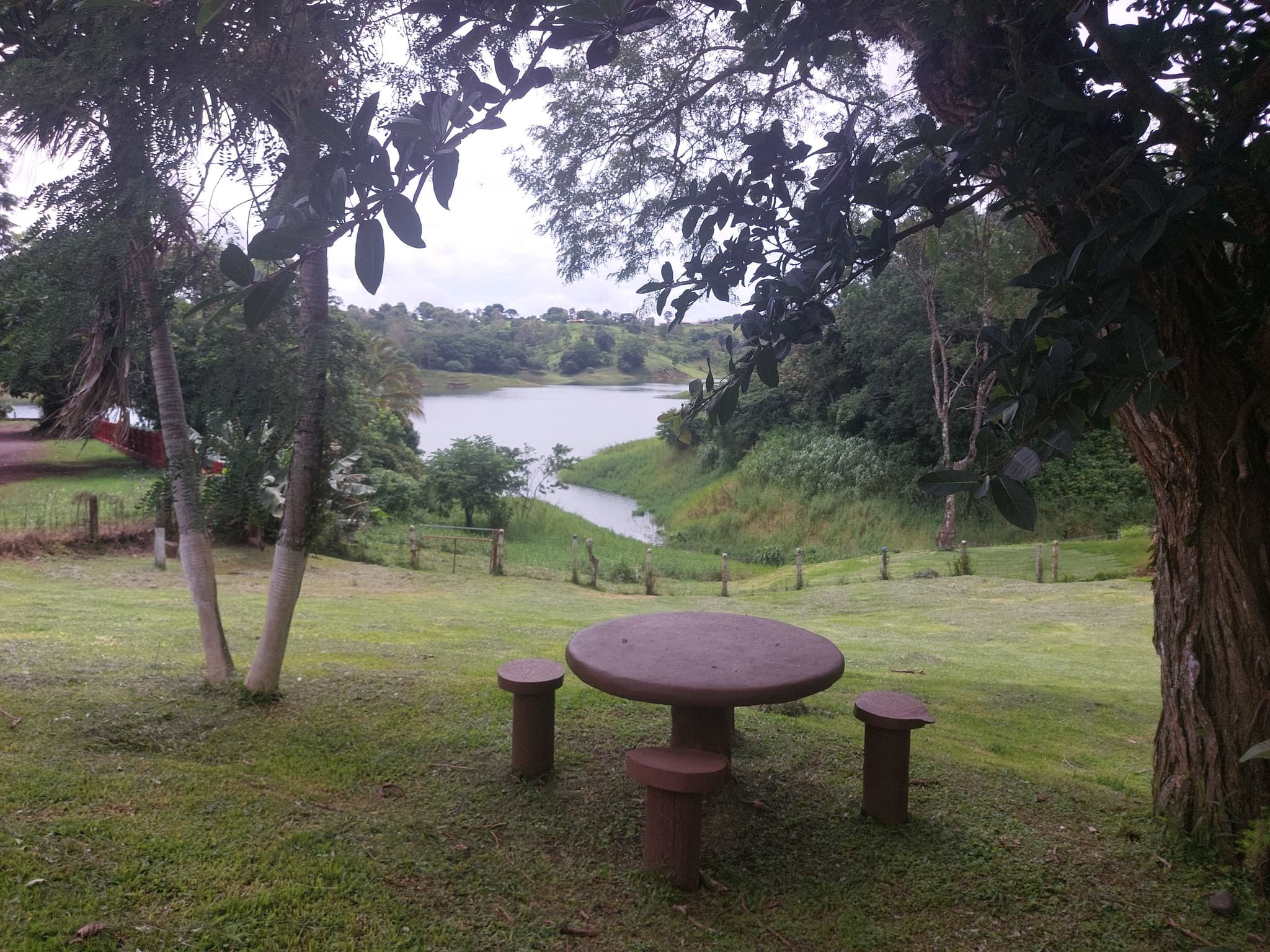 Beautiful 2 BD/2BA Cotagge + office, large enclosed backyard  - 3