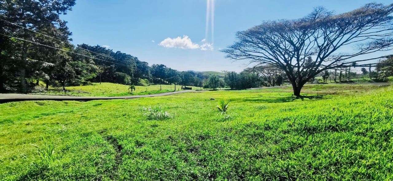 Amazing, 5,742 m2 (1.4 acre) Corner Lot in Gated Community in Tilaran  - 4