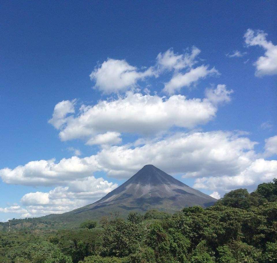 Beautiful, Furnished, Brand-New, Teak Wood Cabin- 1 BD 1 BA– El Roble, Tronadora