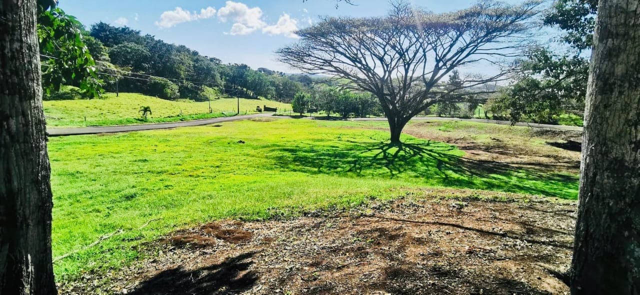 Amazing, 5,742 m2 (1.4 acre) Corner Lot in Gated Community in Tilaran  - 3