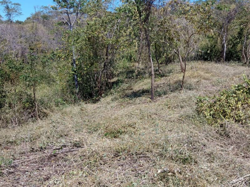 Lot C42 in Eco Development Playa Lagarto for Sale - 4