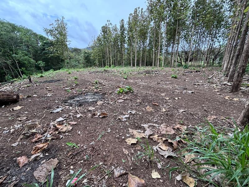 Spacious 2300 m² Residential Lot for Sale in Nicoya Guanacaste