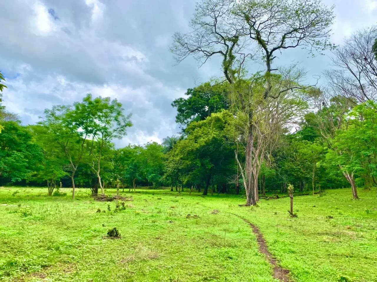 Countryside affordable residential lots near Playa Avellanas