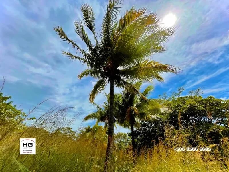 Cute little house on a huge 3 hectares land near Bagaces and Cañas - 2