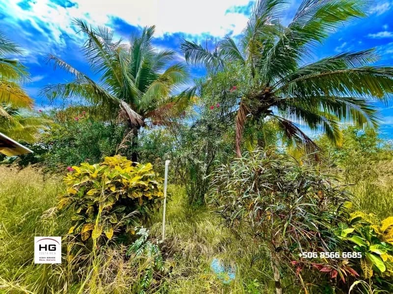 Cute little house on a huge 3 hectares land near Bagaces and Cañas - 4