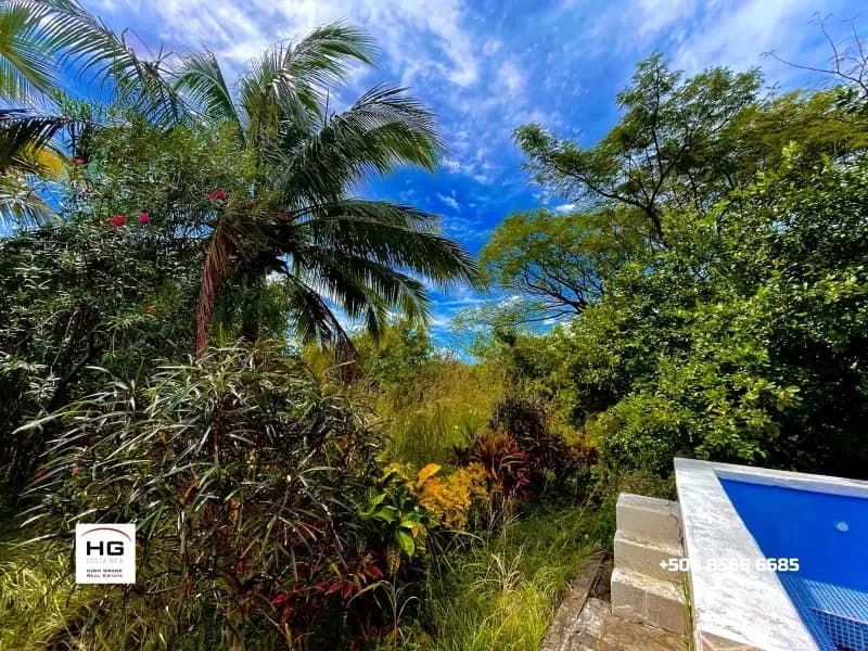 Cute little house on a huge 3 hectares land near Bagaces and Cañas - 5