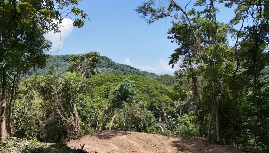 Pajaros development: Dream lots for sale Paquera Puntarenas - 2
