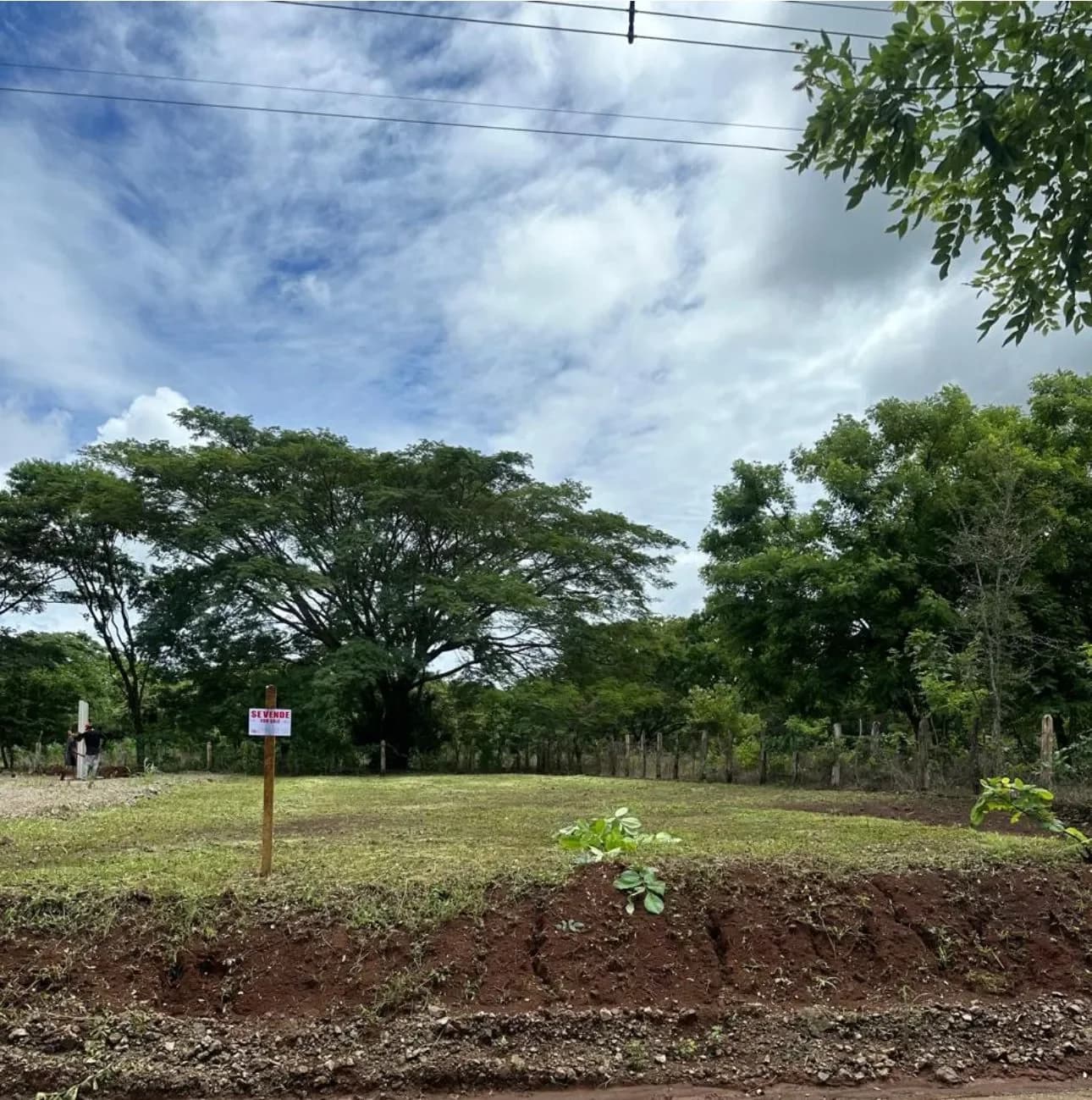 Prime Residential Lot 1000 m2 in Huacas, Tamarindo