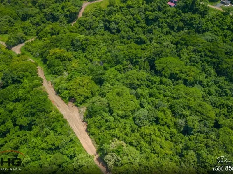 Lot A58 in gated community “Eco Development” 5000 m² residential lot – Playa Lagarto - 4