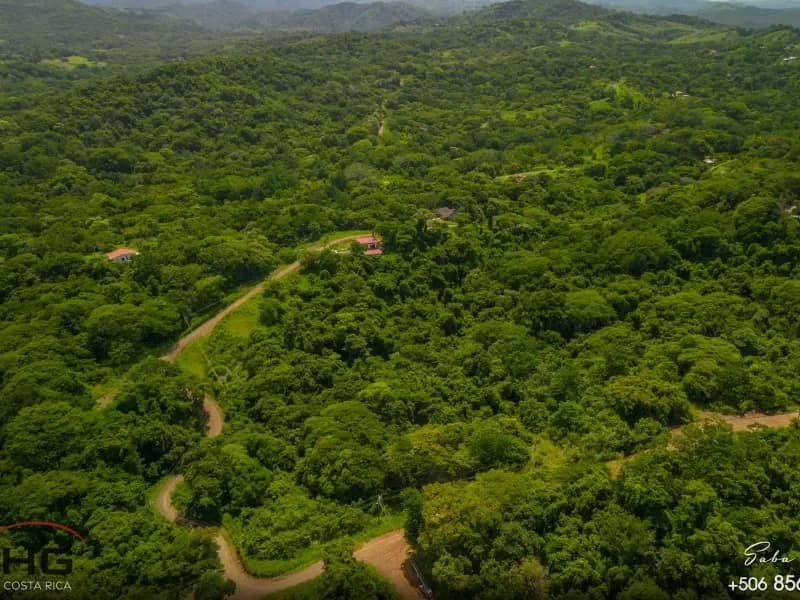 Lot A58 in gated community “Eco Development” 5000 m² residential lot – Playa Lagarto - 5