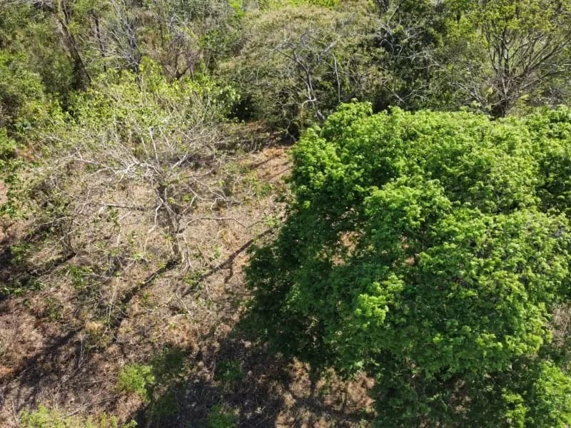 Residential 6500 m² lot in gated community