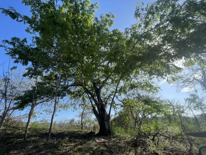 Residential 6500 m² lot in gated community - 4