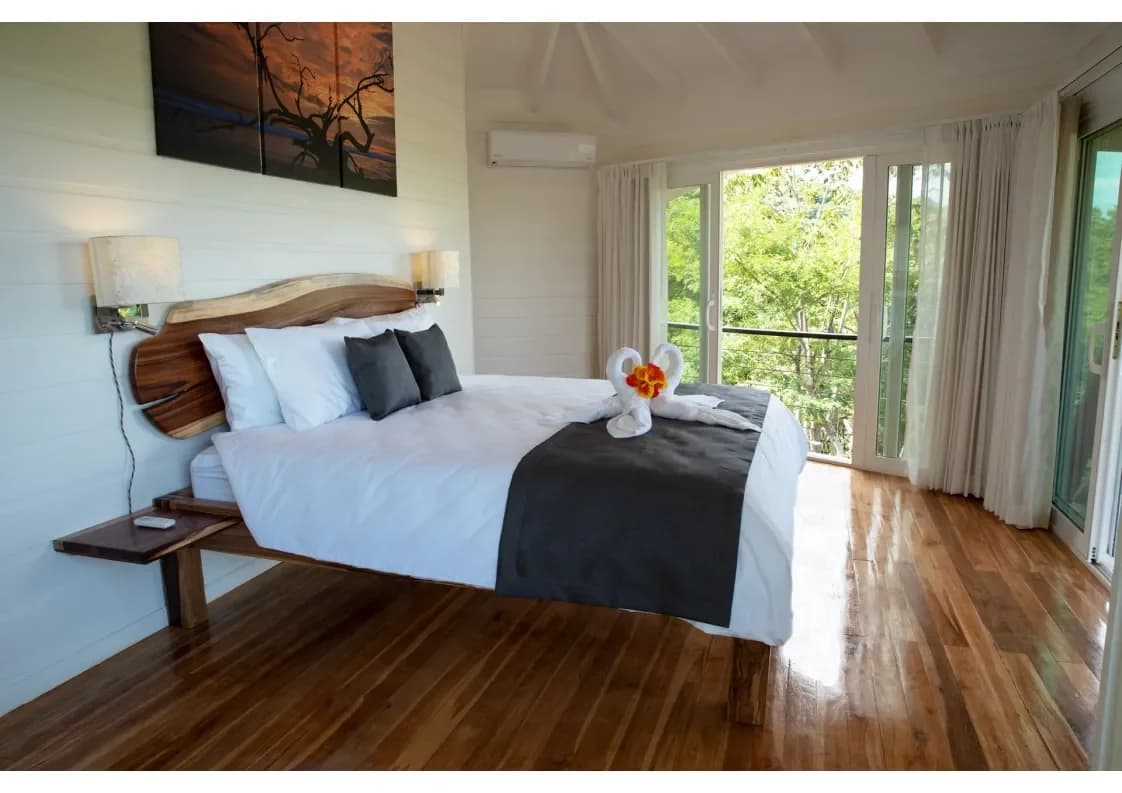 Mikado: Investment Estate with Expansion Potential – San José de Pinilla Hills, Near Playa Avellanas - 5